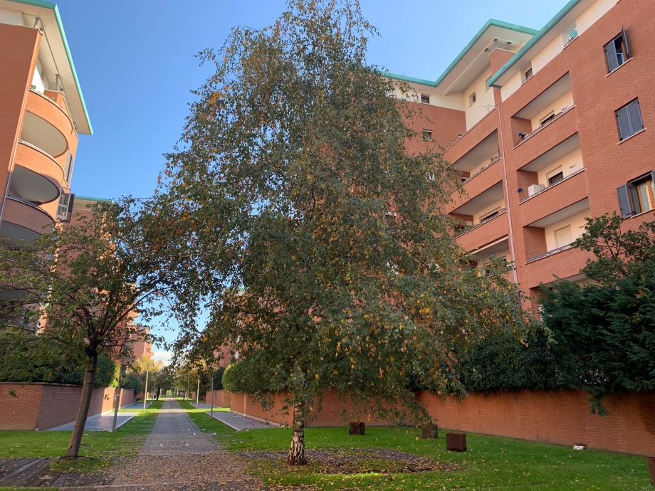 VIMODRONE - Appartamento in condominio in vendita (ID: 6931)