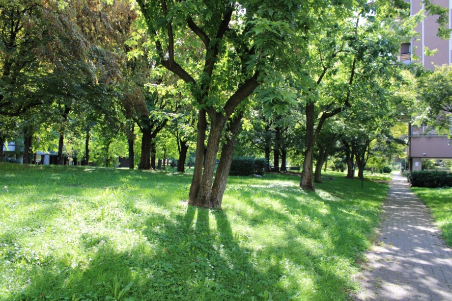 Appartamento in condominio di 3 locali 