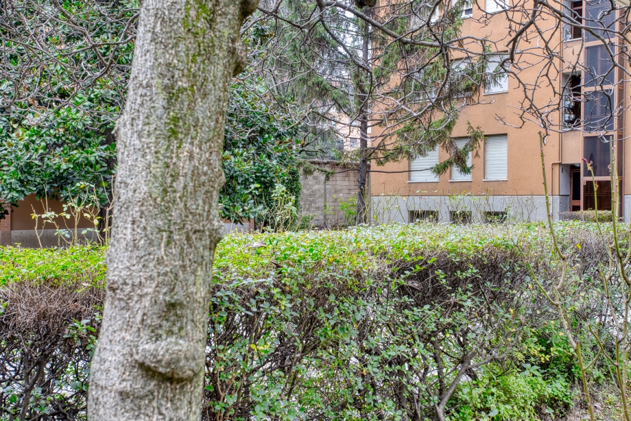 Appartamento in condominio di 3 locali 