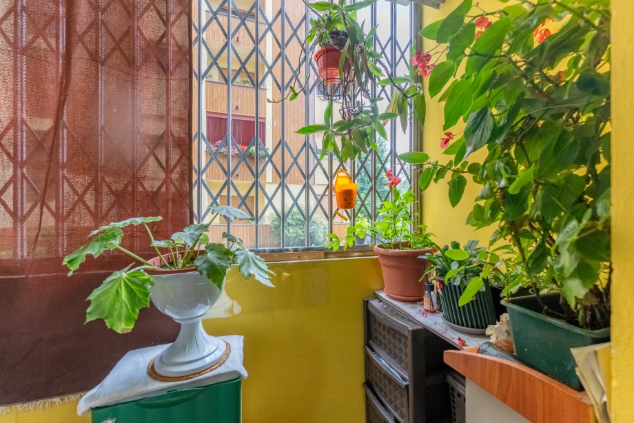 Appartamento in condominio di 2 locali 