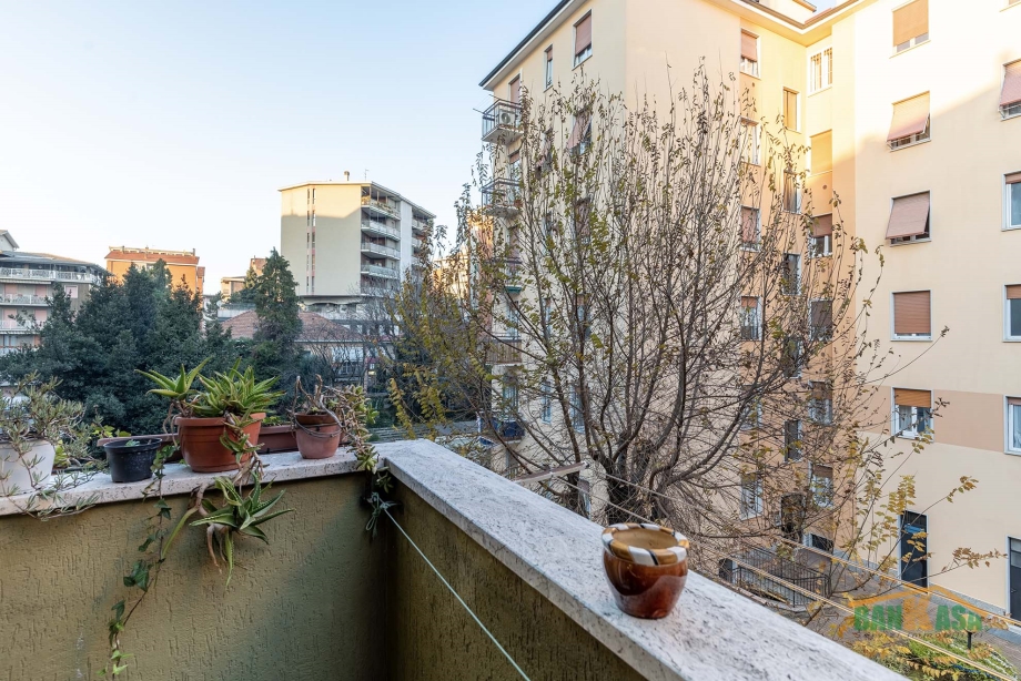 Appartamento in condominio di 2 locali 