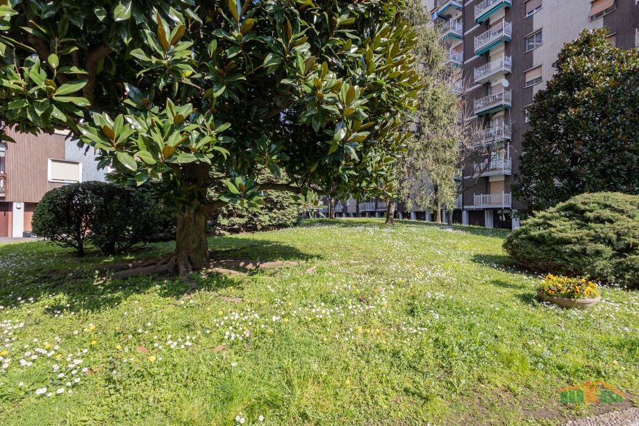 Appartamento in condominio di 2 locali 