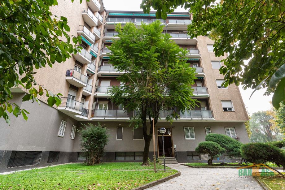 Appartamento in condominio di 2 locali 