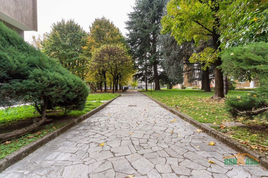 Appartamento in condominio di 2 locali 