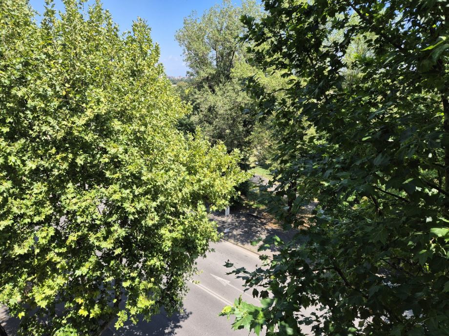 Appartamento in condominio di 2 locali 
