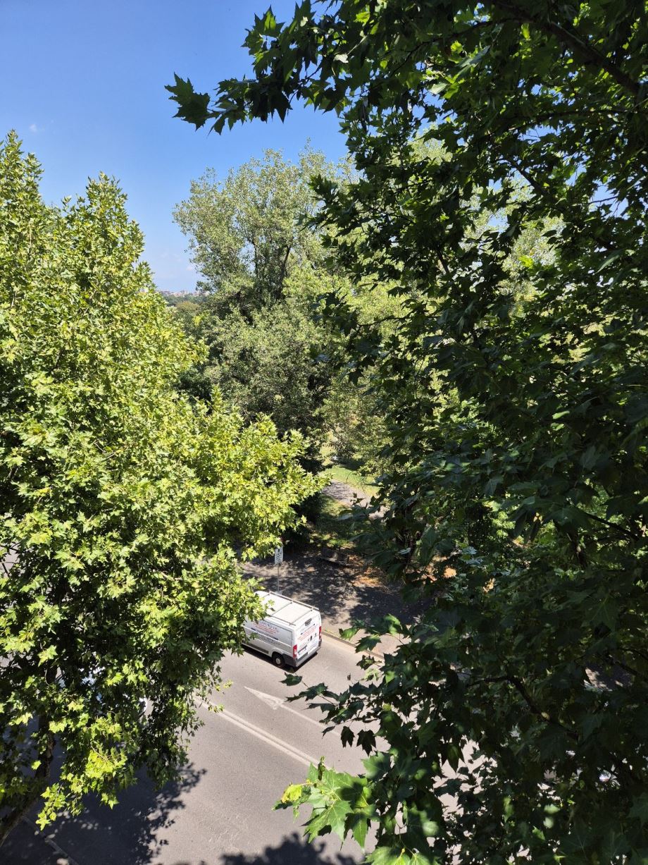 Appartamento in condominio di 2 locali 