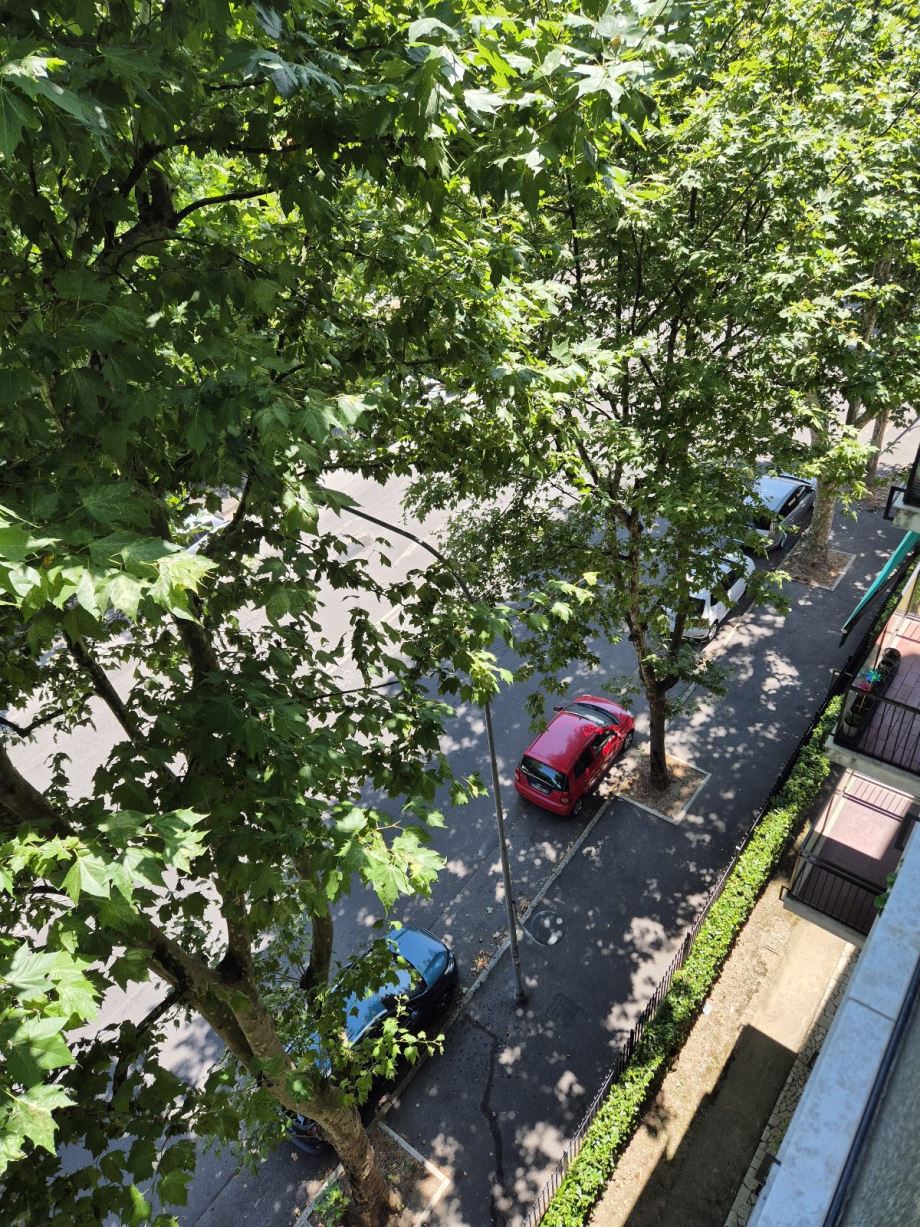 Appartamento in condominio di 2 locali 