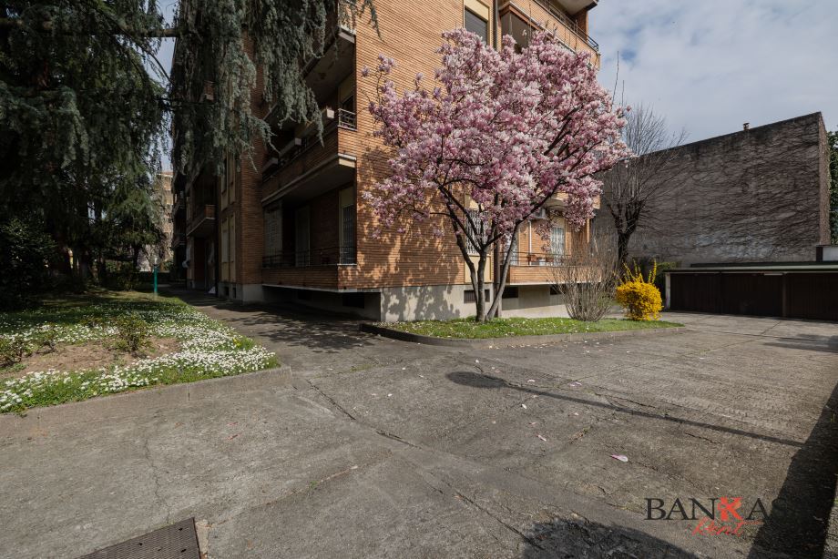 Appartamento in condominio di 2 locali 
