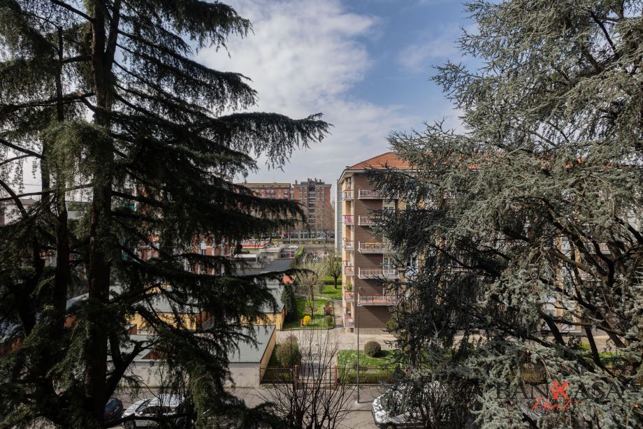 Appartamento in condominio di 2 locali 