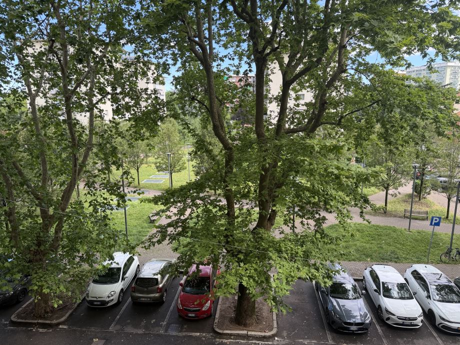 Appartamento in condominio di 2 locali 