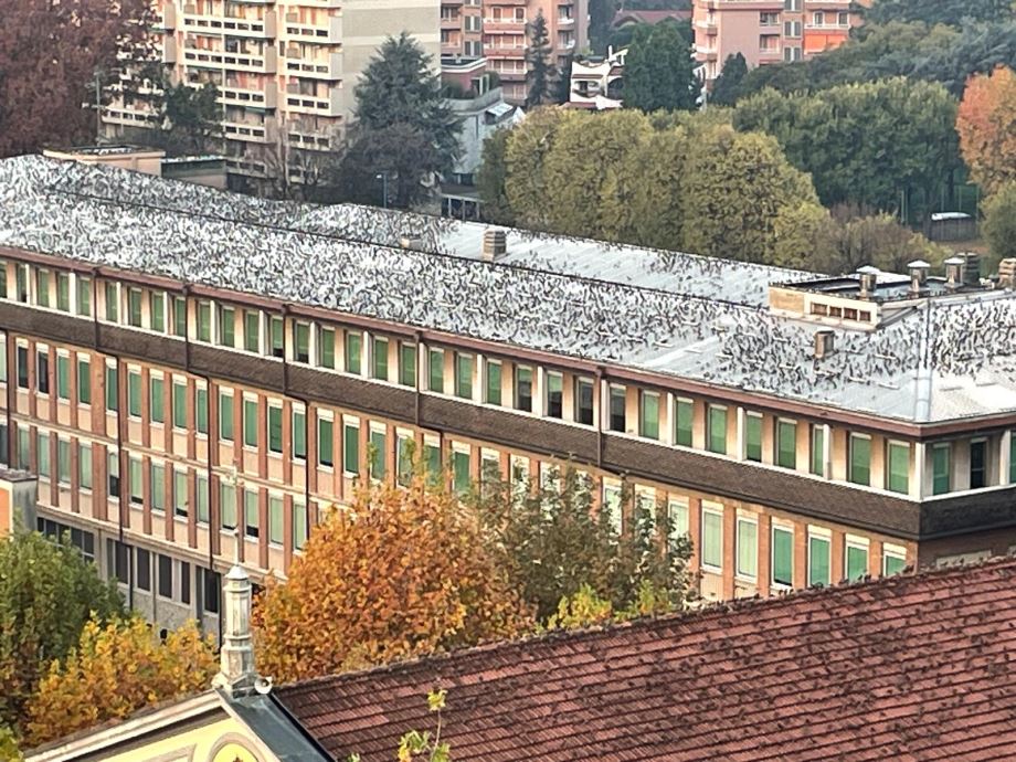 Appartamento in condominio di 3 locali 